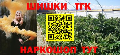 Альфа ПВП Будённовск