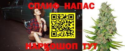 Альфа ПВП Будённовск