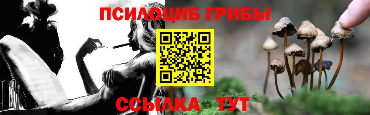 Галлюциногенные грибы Psilocybe  Вход с VPN  Кушва  Галлюциногенные грибы Magic Shrooms 